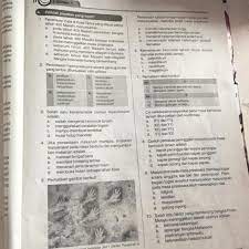 Paleolithikum atau zaman batu tua merupakan zaman di mana peralatan manusia purba dibuat dari. Jawaban Soal Soal Ini Kak Brainly Co Id