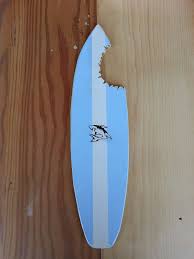 Sharkbite Surfboard Surfboard Decor Shark Decor Surfboard