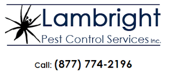 Examining your entire home including the walls, ceiling, attics, and garages where they may be looking for food or planning to build a nest. Top 10 Best Pest Exterminators In Waldorf Md Angi