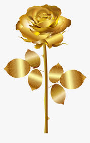 Transparent rose gold flowers png. Golden Rose Png High Quality Image Gold Rose No Background Transparent Png Transparent Png Image Pngitem
