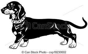 Black And White Dachshund Face Clipart Dachshund Illustrations And Clipart 1 151 Dachshund Royalty Free Illustrations Drawings And Graphi In 2020 Dachshund Illustration Black And White Dog Dachshund Breed