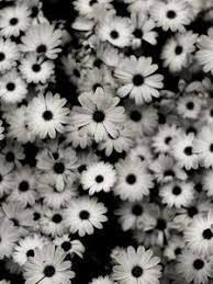 Jul 12, 2017 · setting a plain black wallpaper on android. Black White Old Mobile Cell Phone Smartphone Wallpapers Hd Desktop Backgrounds 240x320 Images And Pictures
