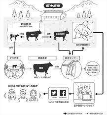 動物の命を食べるのは「かわいそう」？ 但馬牛を育てる田中畜産に学ぶ「食育」の本質 | どっこいしょニッポン