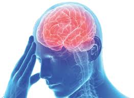 This can happen if an artery that feeds blood to the brain gets clogged, or if it tears and leaks. What Is Stroke Nasam