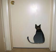 Cat Door Cat Door Crazy Cats Cats