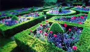 Spring In The Formal Parterre Garden More Tulips Next Year Parterre Garden Green Mountain Boxwood Garden Layout