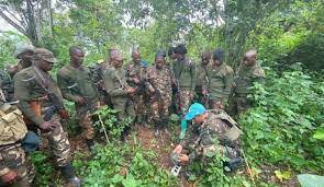 An appeal made through former warlords in the region. Ituri Une Vingtaine D Assaillants Codeco Neutralises A Djugu