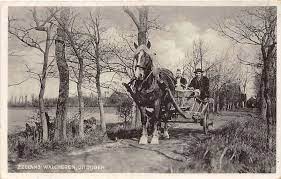 Vivre à la ferme c'est mieux! Vie A La Campagne Vie A La Ferme Ferme Vache Vie Catawiki