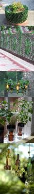 пластиковых бутылок поделки для сада своими руками из подручных материалов с описанием Cvety Domashnee Ozelenenie Idei Ustrojstva Zadnego Dvora Sad Iz Butylok