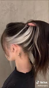 Black N White Hair In 2020 Aesthetic Hair Hair Color Underneath Hair Color Streaks