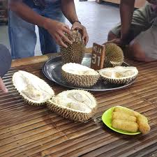 Bulan desember juga identik dengan musim durian. Duren Jatohan Haji Arief 41 Conseils De 2738 Visiteurs