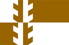 Elecciones generales de namibia de 1989; The Flag Of Damaraland A Bantustan In South West Africa Now Namibia That Officially Existed From 1980 To 1989 The Term Was Use Flag Design Country Art Flag