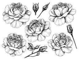 Tatuaggi fiori floreali con rose fiore di loto. 25 367 Foto Rose Tattoo Immagini E Vettoriali