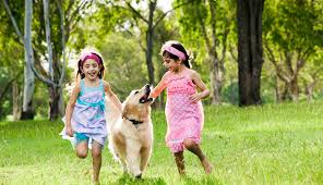 உற்சாகமும் பயனும் தரும் பொழுதுபோக்குகள் எவை தெரியுமா? Do you know what  hobbies are exciting and beneficial?