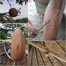 Image result for Malouetia mildbraedii