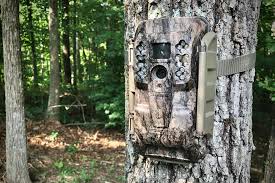 Maybe you would like to learn more about one of these? Wireless Whitetail Work Moultrie Mobile Does It All North American Whitetail