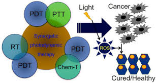 Also find local time clock widget for malaysia. Photodynamic Based Therapeutic Modalities To Fight Against Cancer A Review From Synergistic Viewpoint Sciencedirect
