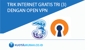 Apn indosat tercepat di tahun 2021 bisa kamu dapatkan di sini, lengkap untuk game atau nonton film disertai dengan cara setting yang pastinya mudah banget. Cara Internet Gratis Tri Menggunakan Aplikasi Open Vpn