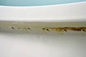 We did not find results for: How To Remove Hard Water Stains From A Toilet Mom 4 Real