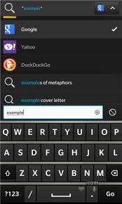 I thought downloading this gets you a google play services. Blackberry Duckduckgo Help Pages