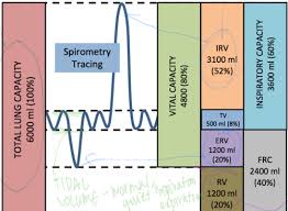 Image result for Vital Capacity