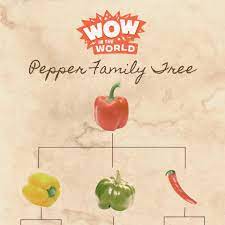 Pepper Family Tree (12/6/21) - Tinkercast