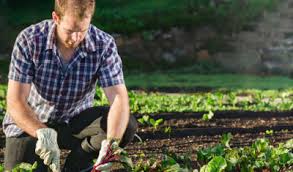 The iban system helps guide payments, typically international settlements, to the right account, by giving the banks processing transfers an indication of the country the account is held in, as well as the specific account number. Recherche Actualites