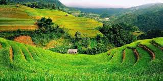 Cách tính thuế sử dụng đất phi nông nghiệp 2019 - Pháp Luật Toàn Dân