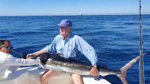 Tacos and deep sea fishing cabo. The Marlin Fishing Continues May 2021 Fishing Report Picante Sportfishing