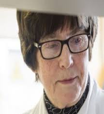 Collected Works of Freda K. Stevenson