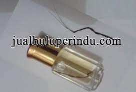 Mereka cenderung menaruh bulu perindu tersebut di dalam sebuah dompet ataupun kain putih dengan kemauan bulu perindu tersebut bisa. Cara Menggunakan Minyak Bulu Perindu Tanpa Mantra Minyak Bulu Mantra