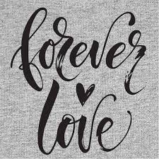 I can't imagine a day without you. 35 Forever Love Quotes Sayings