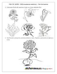 Va oferim gratuit desene de colorat cu anotimpuri, primavara, vara, toamna, iarna. Preschool Worksheets Kindergarden Applique Quilt Patterns
