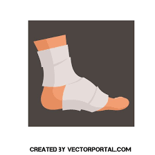 Bandaged Leg Vector Image Vector Free Vector Images Free Vector Images