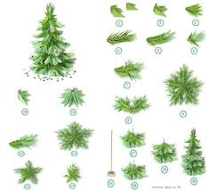 Check spelling or type a new query. 3d Origami Christmas Tree Folding Instructions Origami Instruction