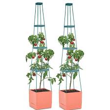 If winter conditions are too harsh to grow tomatoes in your garden, don't fret. Waldbeck Plastic Planter Box With Trellis In 2020 Planter Box With Trellis Plastic Planter Boxes Tomato Planter