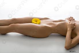 Beautiful woman naked body with flower between legs - stock photo |  Crushpixel