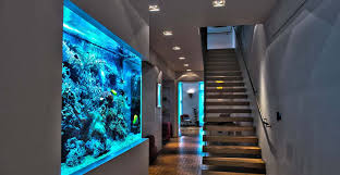 Aquatic Design Centre