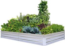 Check spelling or type a new query. Amazon Com Galvanized Raised Garden Beds For Vegetables Large Metal Planter Box Steel Kit Flower Herb 8x4x1ft Patio Lawn Garden