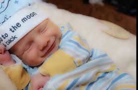 Sheltie owner seeking validation for pet photo