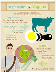 Vegetarian diet is not just about what goes on your plate. Vegetarians Vs Vegans What Is The Difference Explore Vegan Dallas