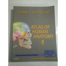 Salivary glands plate, discussed by john t. Atlas De Anatomie Umana Netter Editia A7a In Limba Engleza