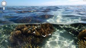 Google underwater search is one of the best april fool's day jokes, and now you can search underwater with gravity effects. Google S Underwater Street View Will Show You The Way To Fish Clubs Mermaid Graveyards Whale Parks Etc