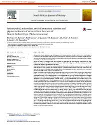 Image result for Dissotis alata