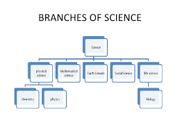 what is science lessons tes teach