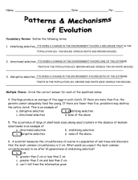 Patterns Mechanisms Of Evolution