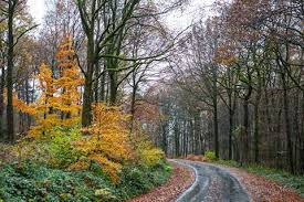 Route De La Neuville Aux Haies C Thierry Michel Ardennes France Ardennes Photographie France