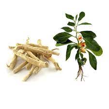 Organic Ashwagandha Root Powder Whole Root Raw Superfood Etsy Ashwagandha Ayurvedic Herbs Workout Food