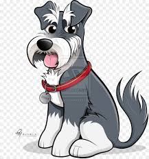 I added it to jeffrey's drawings about 6 years ago. Dog Drawing Png Download 900 956 Free Transparent Miniature Schnauzer Png Download Cleanpng Kisspng