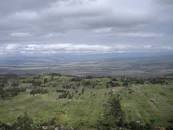 Image result for uganda garden of eden